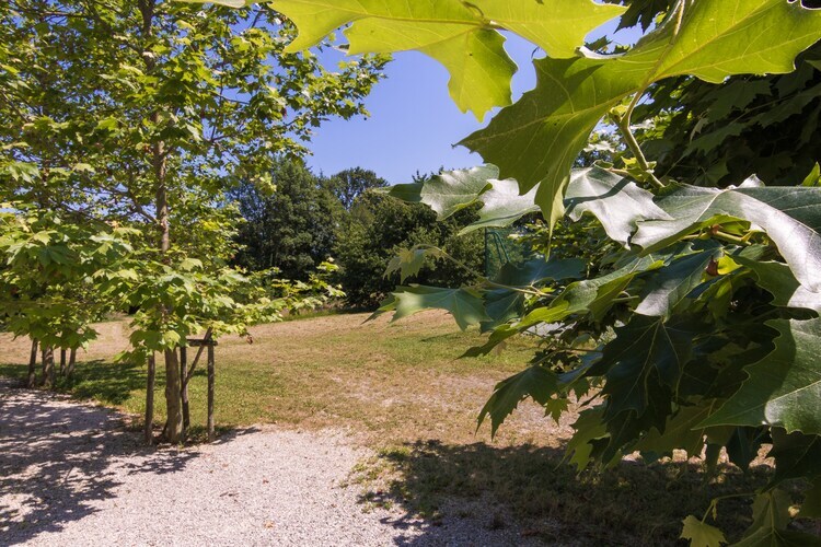 La Petite Maison, gîte périgourdin 4 pers. à Chalais - Photo 18