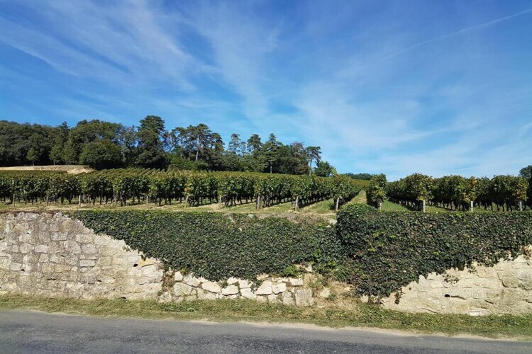La Petite Maison, gîte périgourdin 4 pers. à Chalais - Photo 34