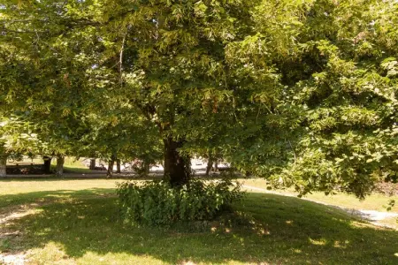 La Petite Maison, gîte périgourdin 4 pers. à Chalais : photo 17