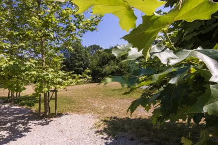 La Petite Maison, gîte périgourdin 4 pers. à Chalais : photo 18