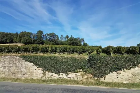 La Petite Maison, gîte périgourdin 4 pers. à Chalais : photo 34
