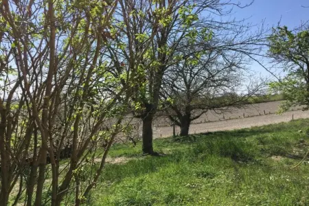 La Petite Maison, gîte périgourdin 4 pers. à Chalais : photo 37