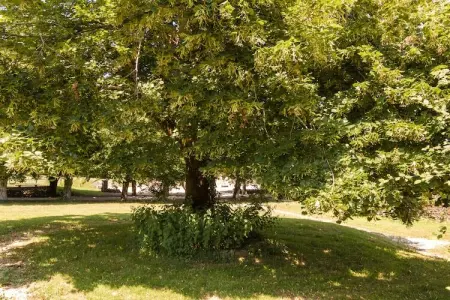 La Grande Maison, Gîte à Chaleix proche forêt et lac - Photo 10