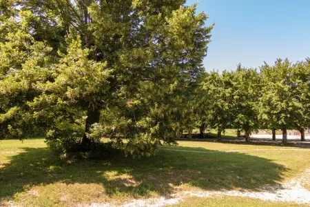 La Grande Maison, Gîte à Chaleix proche forêt et lac - Photo 22