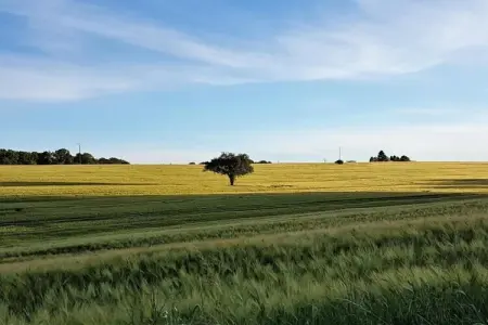 La Grande Maison, Gîte à Chaleix proche forêt et lac - Photo 36