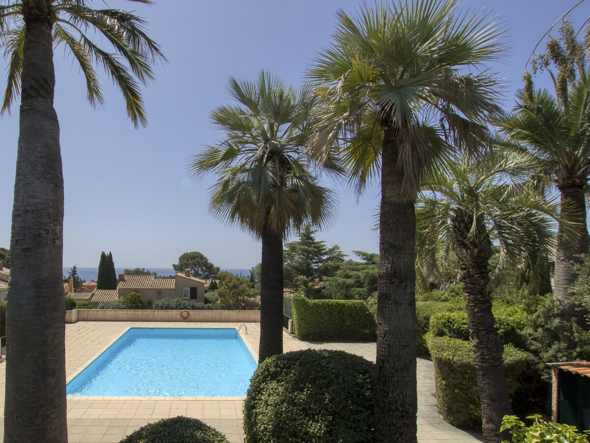 Studio Le Bali avec terrasse et accès piscine à La Ciotat - Photo 15