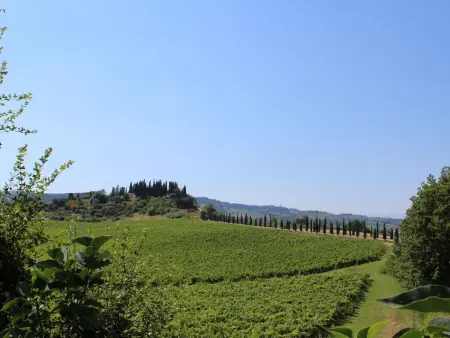 Vineyard View, Location Villa 10 personnes à San Gimignano - Photo 27