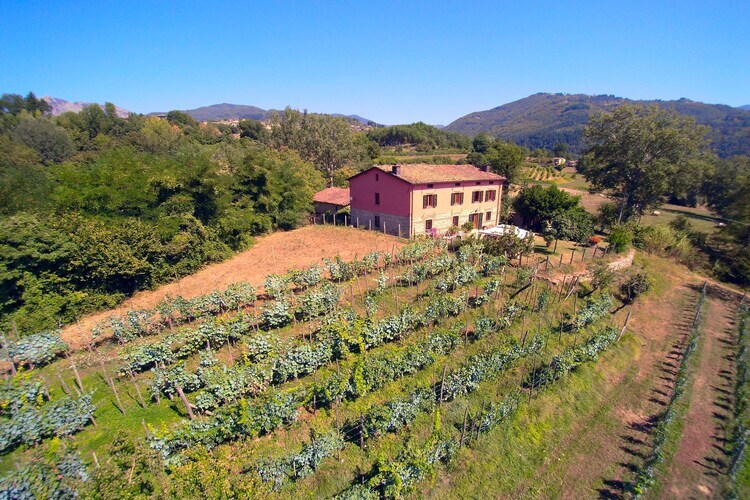 Casale Liana Dodici – Maison 12 pers. en Toscane - Photo 31