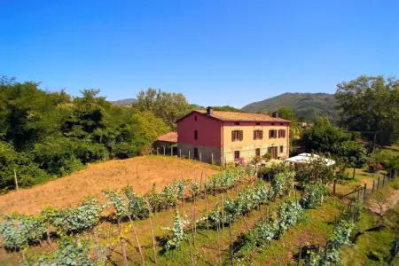 Casale Liana Dodici – Maison 12 pers. en Toscane : photo 30