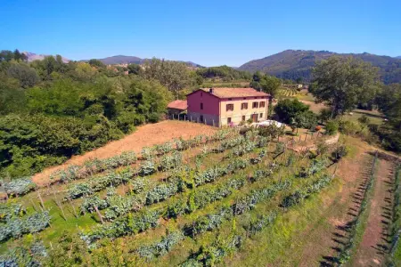 Casale Liana Dodici – Maison 12 pers. en Toscane : photo 31