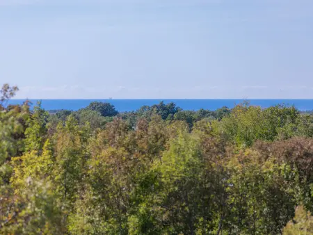 Villa Histria 1, piscine privée et 1,8 hectare : photo 19