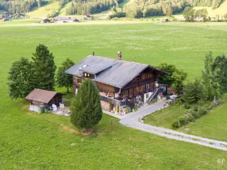 Location appartement à Lenk, Trachsel-Huus