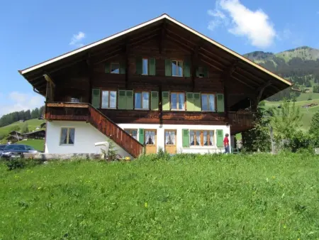 Location appartement à Lenk, Chalet Pletschen