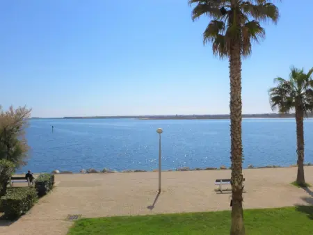 Les Occitanes – Appartement 2 pièces vue mer : photo 5