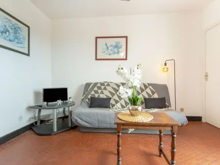 Apt 3 pièces 46 m² au Barcarès, 50 m de la plage : photo 8