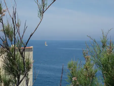 Les Roches Bleues - Apt 3 pièces avec vue mer à Collioure : photo 12
