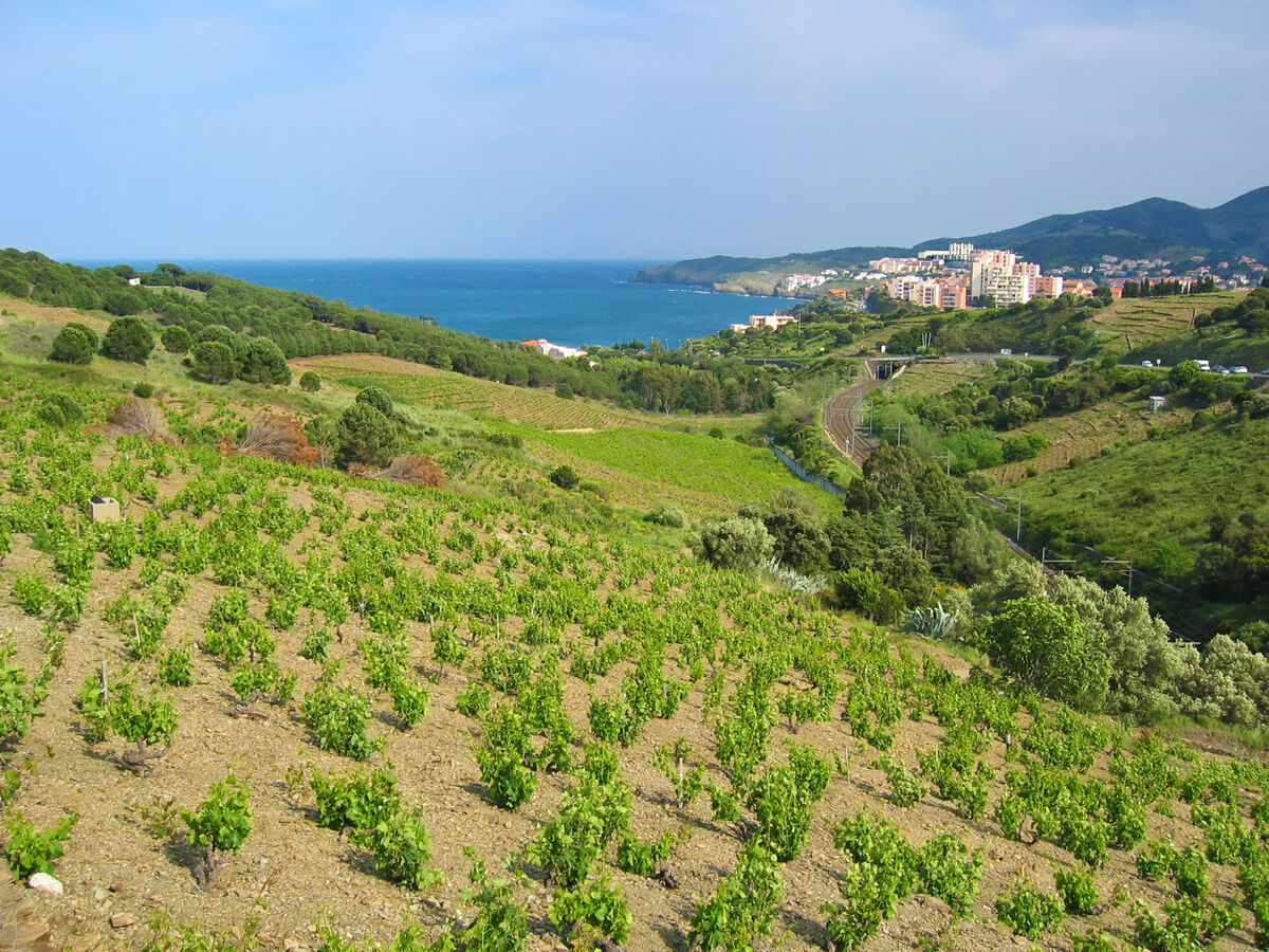 Appartement Thalacap vue mer, 500m de la plage - Photo 19