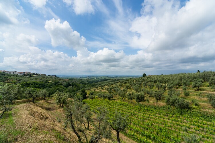 Gioconda - Maison dans une ferme toscane avec piscine - Photo 27