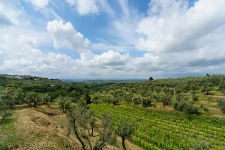 Gioconda - Maison dans une ferme toscane avec piscine : photo 27