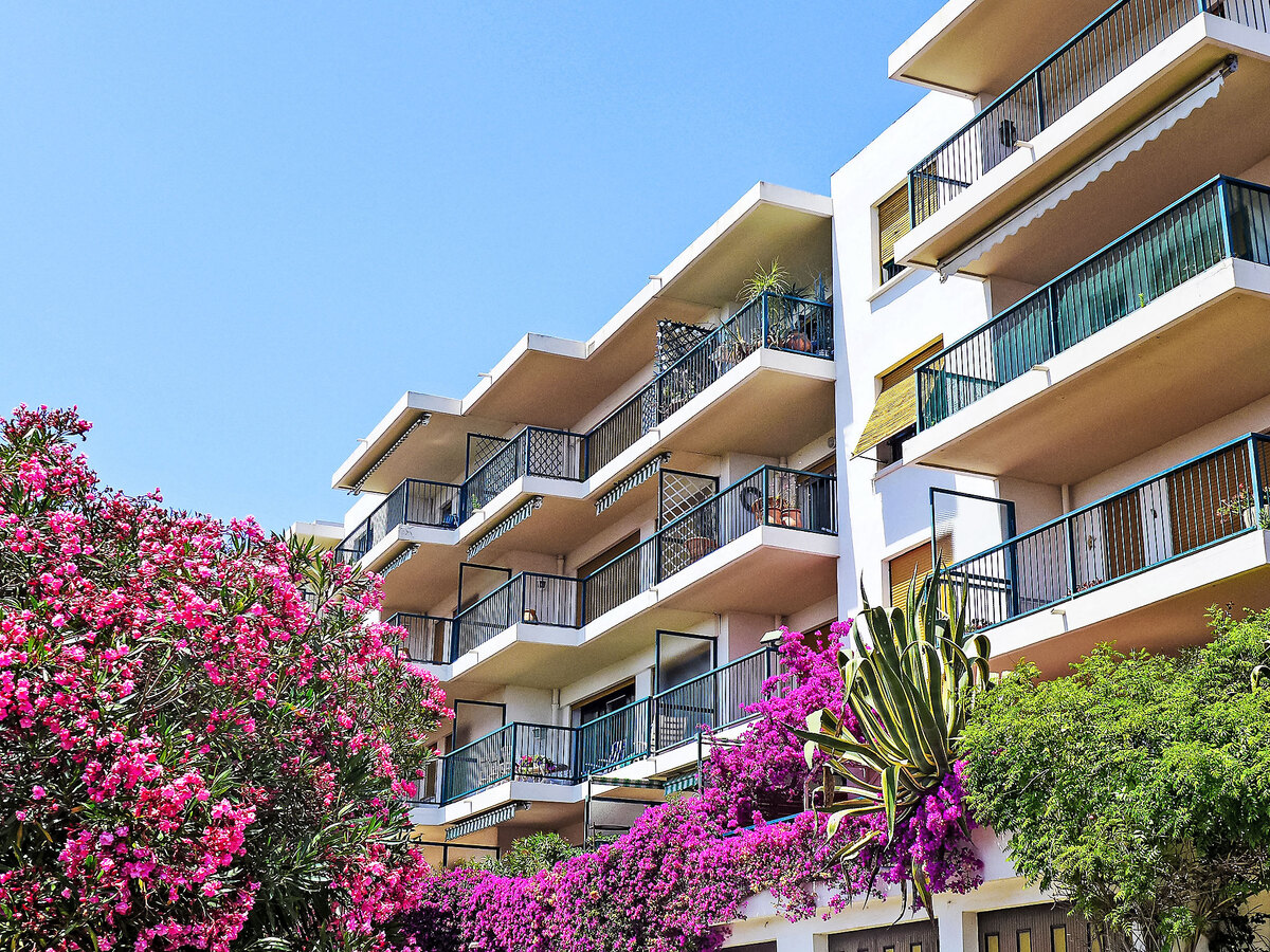 Les Mimosas, appartement 4 pers. avec terrasse vue mer - Photo 3