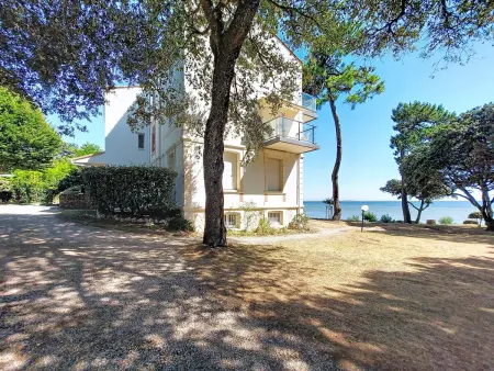 Le Platin : Studio vue mer à 50 m de la plage : photo 31