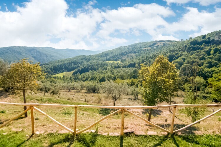 Gîte rural 6 pers. avec piscine à Monte Santa Maria Tiberina - Photo 32