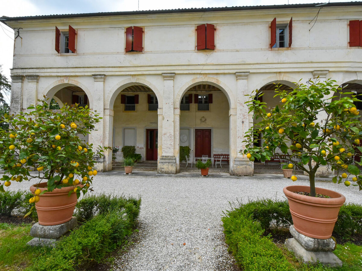 Villa Barchessa Palladio, 360 m² avec piscine - Photo 43