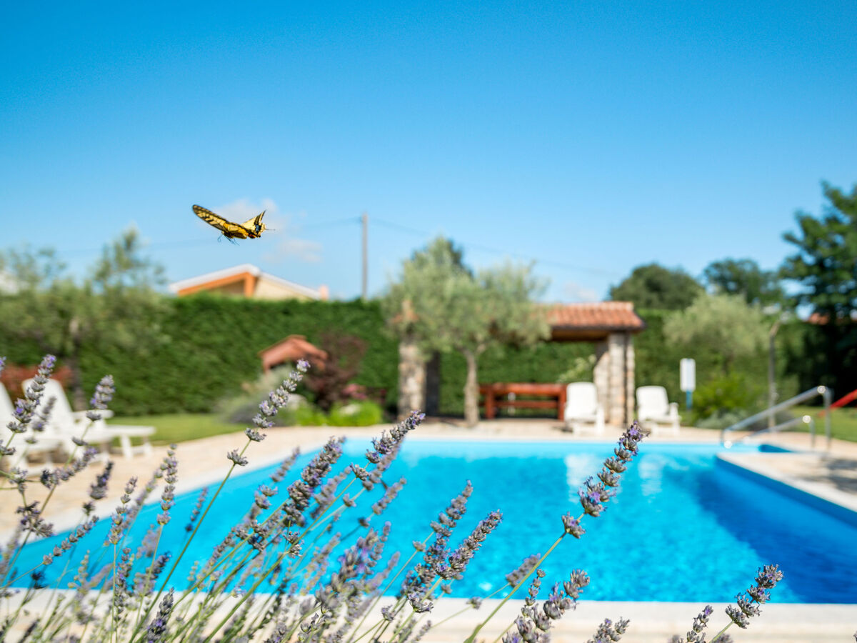 Maison Tommy à Nova Vas, piscine partagée et terrain privé - Photo 31