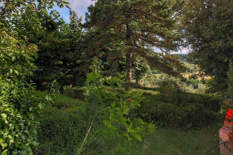 Lunghe, gîte en ferme toscane avec piscine - Photo 34