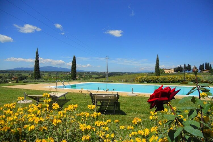 Torraccia 2 – Maison 4 pers. en ferme toscane avec piscine - Photo 8