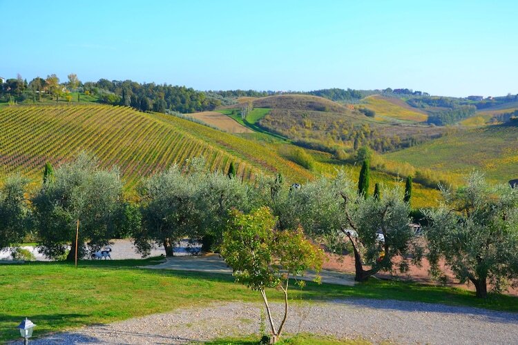 Torraccia 2 – Maison 4 pers. en ferme toscane avec piscine - Photo 9