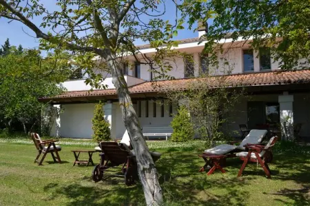 Villa degli Ulivi – Maison 5 chambres avec piscine : photo 7