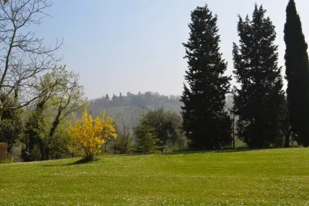 Villa degli Ulivi – Maison 5 chambres avec piscine : photo 27