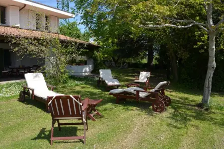 Villa degli Ulivi – Maison 5 chambres avec piscine : photo 30
