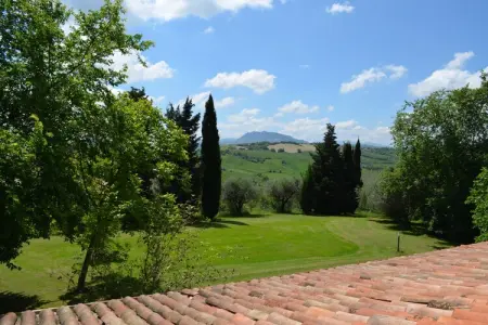 Villa degli Ulivi – Maison 5 chambres avec piscine : photo 31