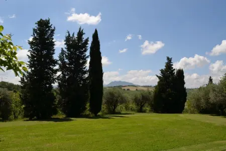 Villa degli Ulivi – Maison 5 chambres avec piscine : photo 32