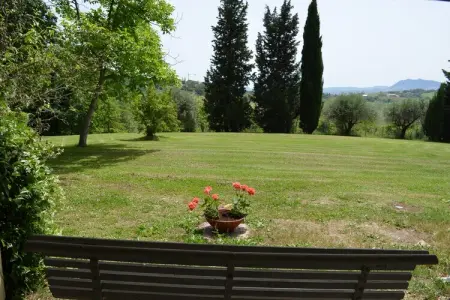 Villa degli Ulivi – Maison 5 chambres avec piscine : photo 36
