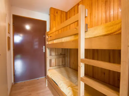 Studio 18 m² Plein Soleil, 100 m des pistes : photo 8
