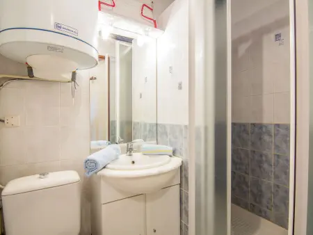 Studio 18 m² Plein Soleil, 100 m des pistes : photo 9