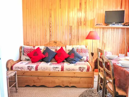 Studio 23 m² vue panoramique montagne à La Toussuire - Photo 3