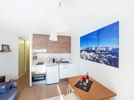 Appartement Blanc Neige à Chamonix, rénové 2025 : photo 7