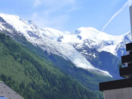 Appartement Blanc Neige à Chamonix, rénové 2025 : photo 11