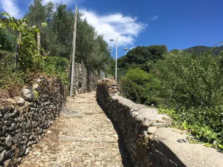 Maison Gabriella à Domaso, vue panoramique lac : photo 31
