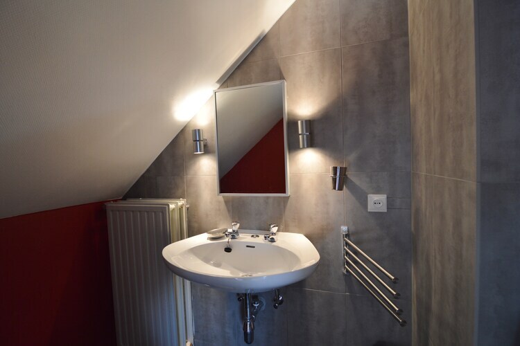 Les Croupets, maison 9 pers. avec étang à Lierneux - Photo 30