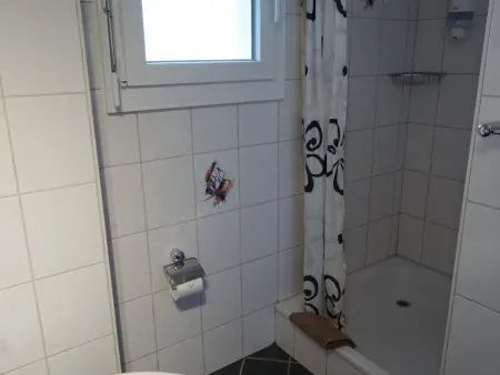 Schwizi's Holiday Apartments, Appartement 10 personnes à Ringgenberg - Photo 21