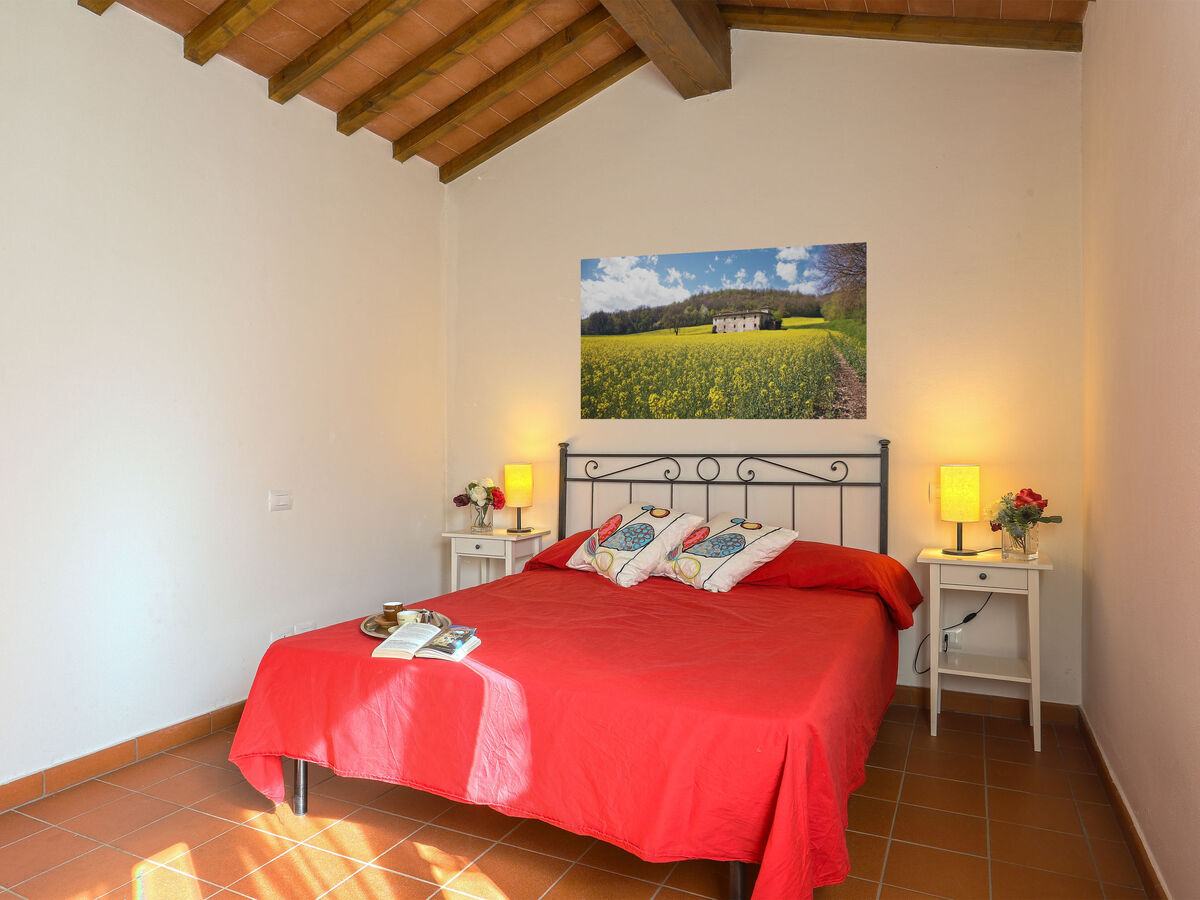 Casa Fitzy – Maison 6 pers. avec piscine à San Donato - Photo 12
