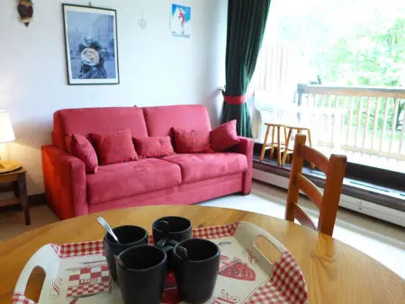 Les Pècles - Studio 30 m² avec vue montagne à Chamonix : photo 6