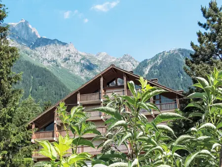 Les Pècles - Studio 30 m² avec vue montagne à Chamonix : photo 12