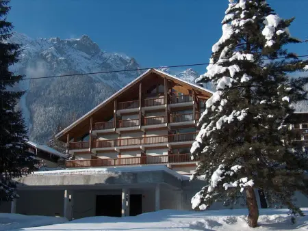 Les Pècles - Studio 30 m² avec vue montagne à Chamonix : photo 15