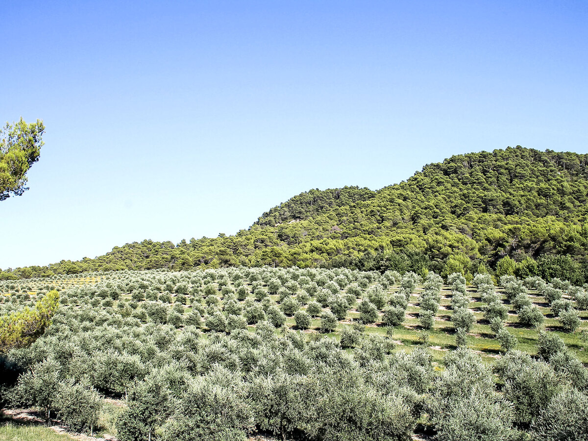Domaine de Piegros – Maison 12 pers., parc 32 ha - Photo 50